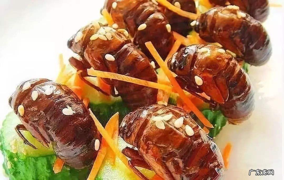 知了怎么做能吃