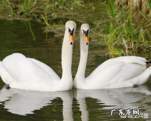 什么样的爱情是你想要的？