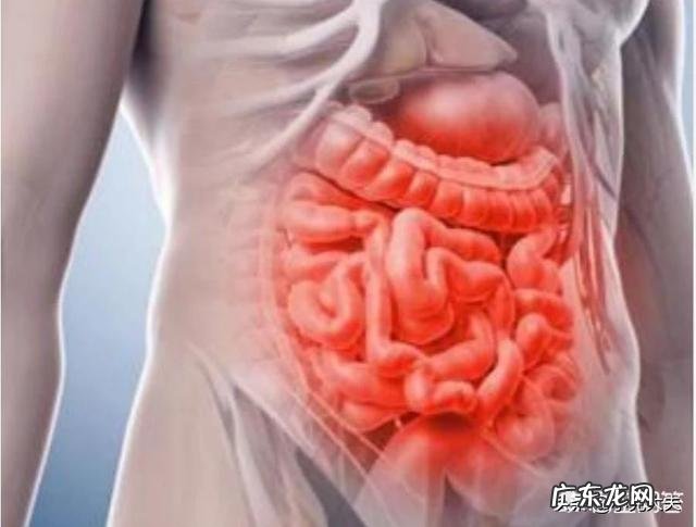 肠道不好有什么危害?该怎样调理?