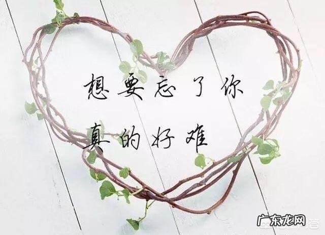 你喜欢的暖心情话有哪些?哪一句暖心情话最触动你的内心?