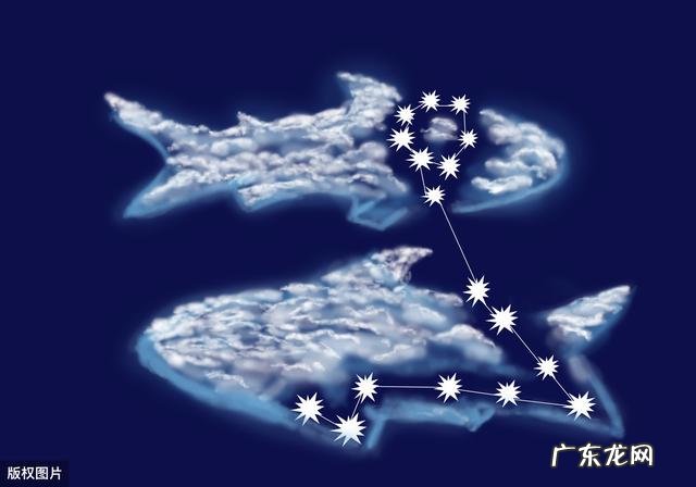 你遇到的双鱼座都有哪些特征?