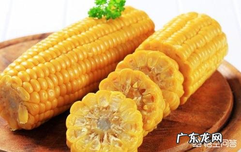 有哪些既能充饥、热量又低的食物？
