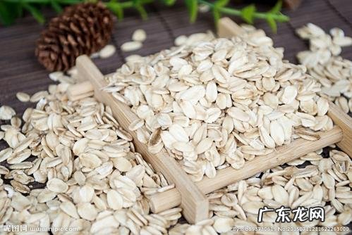 有哪些既能充饥、热量又低的食物?