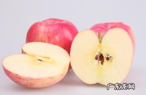 有哪些既能充饥、热量又低的食物?