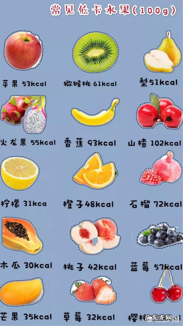 有哪些既能充饥、热量又低的食物?