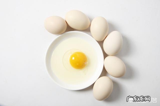 有哪些既能充饥、热量又低的食物？