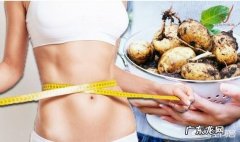 有哪些既能充饥、热量又低的食物？