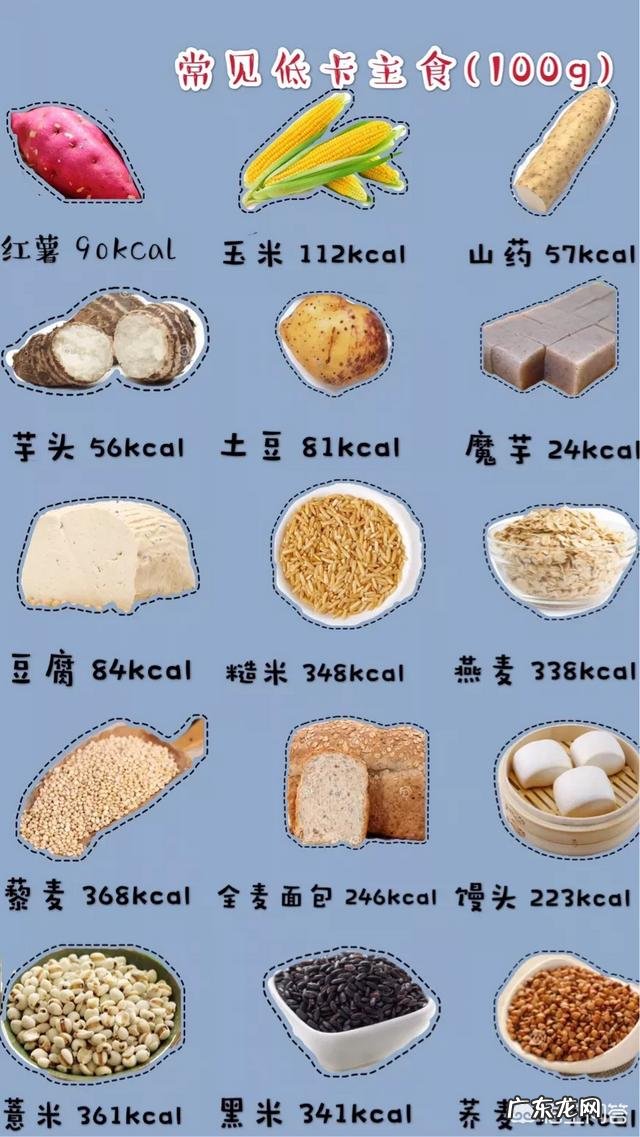 有哪些既能充饥、热量又低的食物?