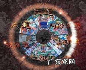 人为什么活着?死后会去哪里?