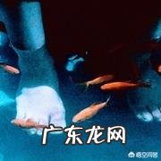 有什么适合学生看的电影？