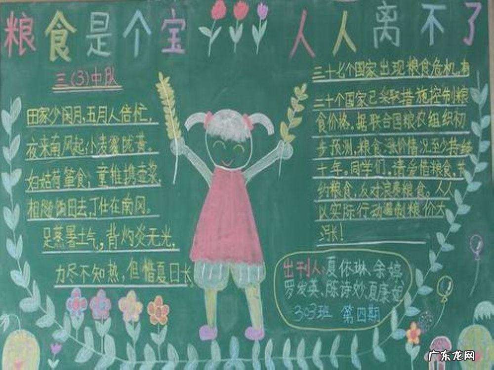 节约粮食的手抄报内容