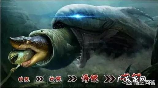 2018年游戏圈都出现了哪些热门词语?