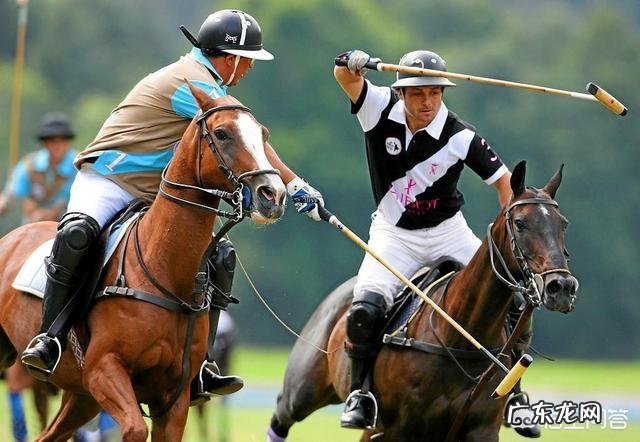 春天Polo衫如何穿?