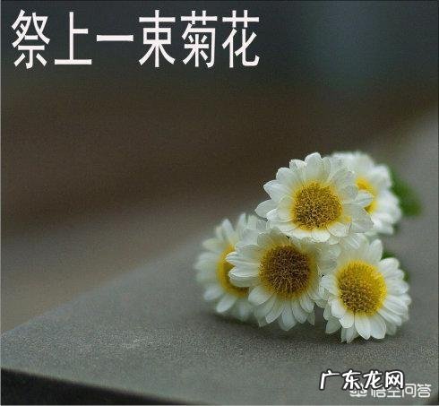 农村老话“冬至不离十一月”啥意思?为什么冬至又叫“小年”?