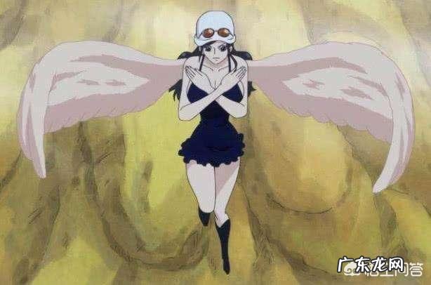 《海贼王》中很多角色都会飞，那么还有哪些很酷炫的飞行方式呢？