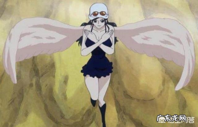 《海贼王》中很多角色都会飞,那么还有哪些很酷炫的飞行方式呢?