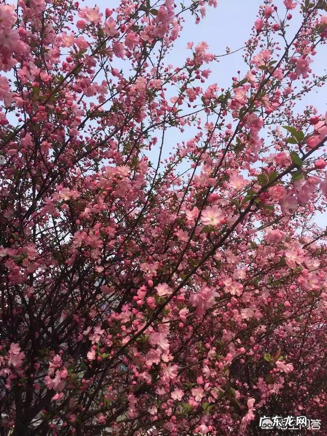 “高龄产妇”是危险产妇的代名词吗？