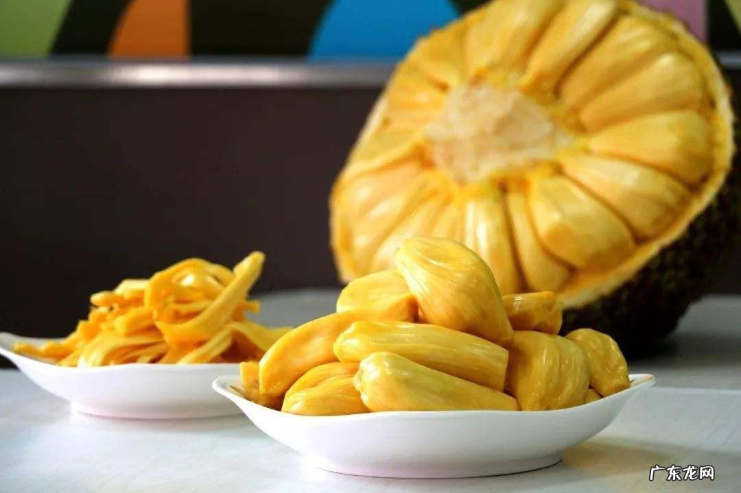 菠萝蜜干怎么做