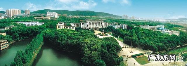 中国顶尖大学有哪几所？