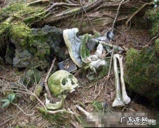 历史上有没有诡异的人类集体失踪事件?真正的答案是什么?