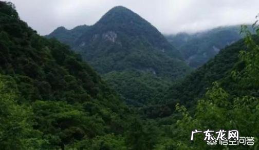 历史上有没有诡异的人类集体失踪事件?真正的答案是什么?