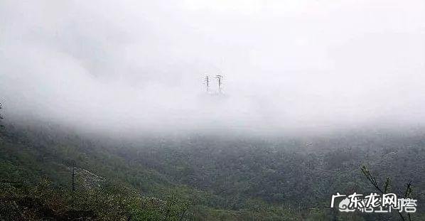 历史上有没有诡异的人类集体失踪事件?真正的答案是什么?