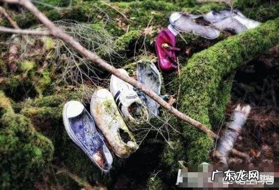 历史上有没有诡异的人类集体失踪事件?真正的答案是什么?