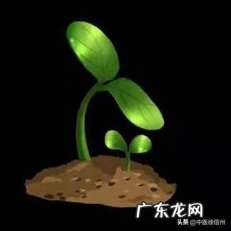 怎样才能知道自己有没有怀孕,怀孕多久才能检测出来?