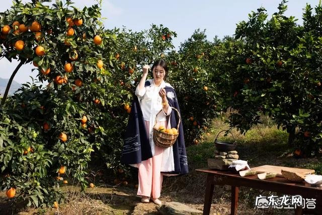 奉节脐橙今年价格行情怎么样?