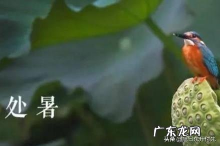 农村俗语:“处暑天不暑,炎热在中午”,什么意思呢?处暑什么时候到来?