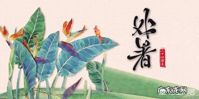 农村俗语：“处暑天不暑，炎热在中午”，什么意思呢？处暑什么时候到来？