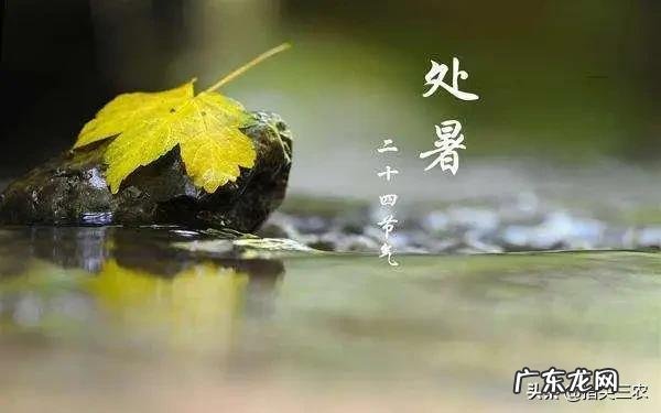 农村俗语：“处暑天不暑，炎热在中午”，什么意思呢？处暑什么时候到来？