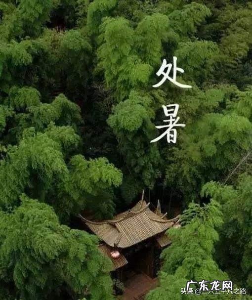 农村俗语:“处暑天不暑,炎热在中午”,什么意思呢?处暑什么时候到来?