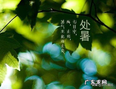 农村俗语：“处暑天不暑，炎热在中午”，什么意思呢？处暑什么时候到来？