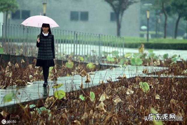 农村俗语：“处暑天不暑，炎热在中午”，什么意思呢？处暑什么时候到来？