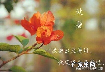 农村俗语:“处暑天不暑,炎热在中午”,什么意思呢?处暑什么时候到来?