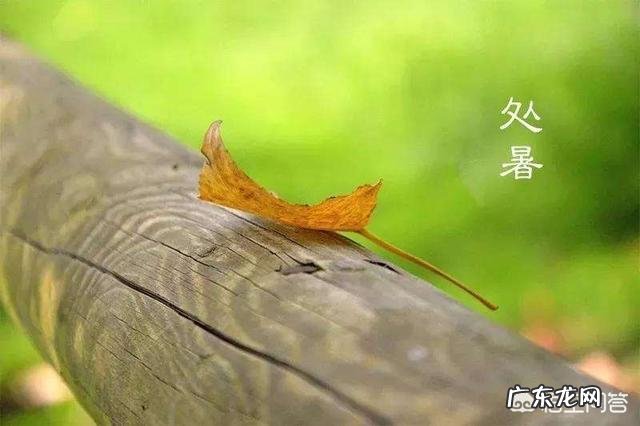 农村俗语:“处暑天不暑,炎热在中午”,什么意思呢?处暑什么时候到来?