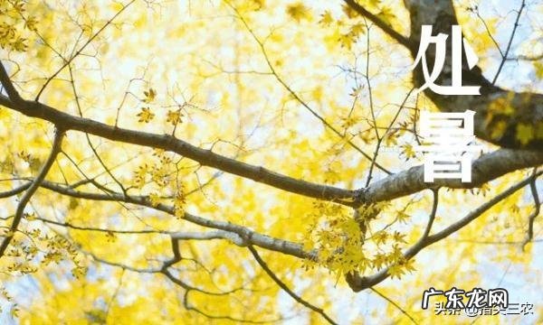 农村俗语：“处暑天不暑，炎热在中午”，什么意思呢？处暑什么时候到来？