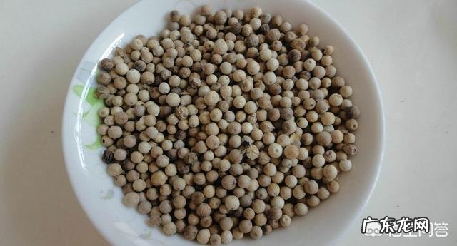 猪肚炖什么养胃?