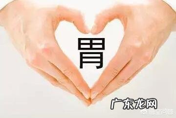 猪肚炖什么养胃?