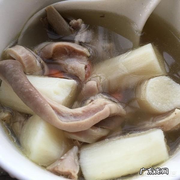 猪肚炖什么养胃?