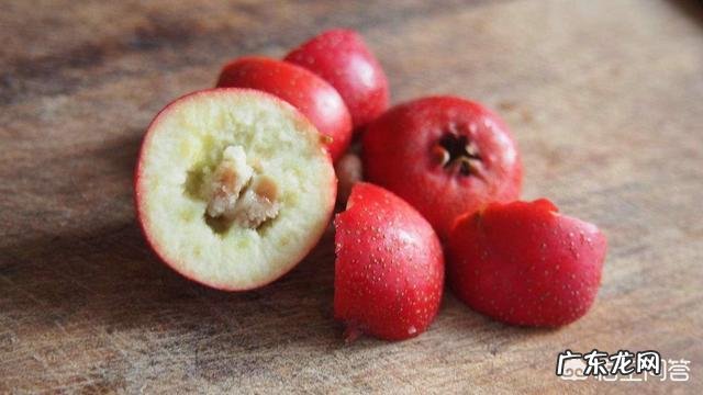 猪肚炖什么养胃?