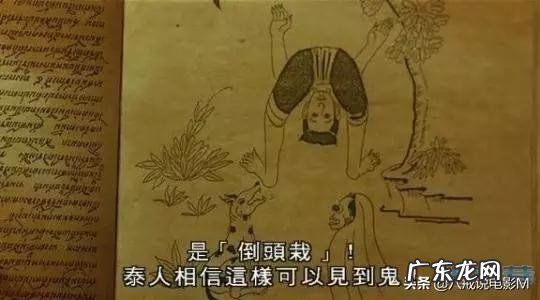 你小时候看过最恐怖的电影叫什么名字？就是看了以后钻被窝里蒙住头出了一身汗？