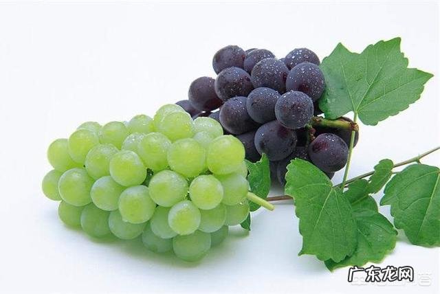坐月子期间可以吃葡萄吗?