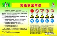 时代变化太快，小学是否需要增加交通安全和玩手机的危害的课程？