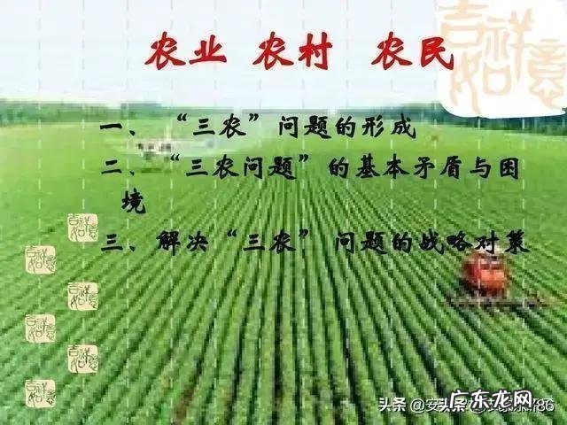 农村里常见的草木灰,合适用在哪些农作物上?有什么作用?