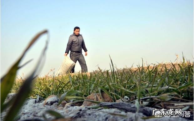 农村里常见的草木灰,合适用在哪些农作物上?有什么作用?