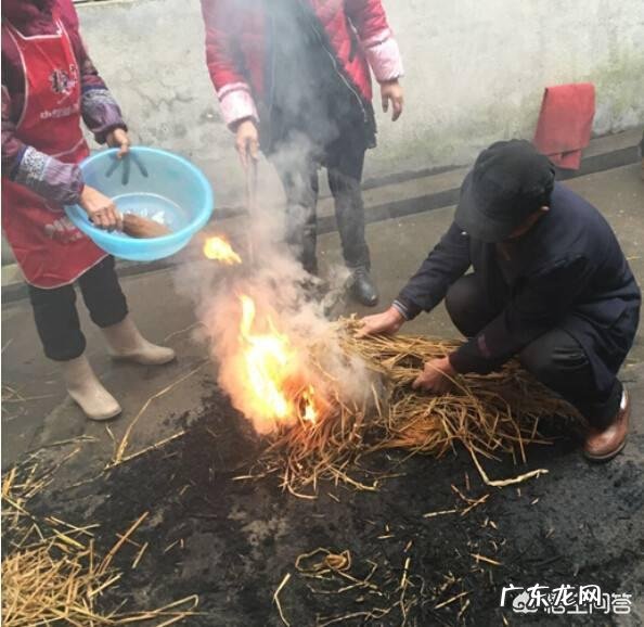 农村里常见的草木灰,合适用在哪些农作物上?有什么作用?