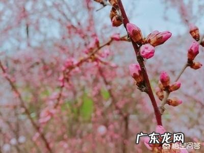 家长如何才能听到孩子的心声？