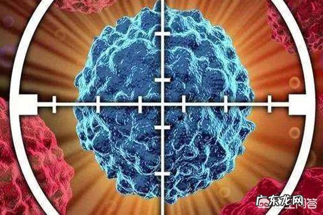 高危型人乳头瘤病毒阳性,还能怀孕吗?